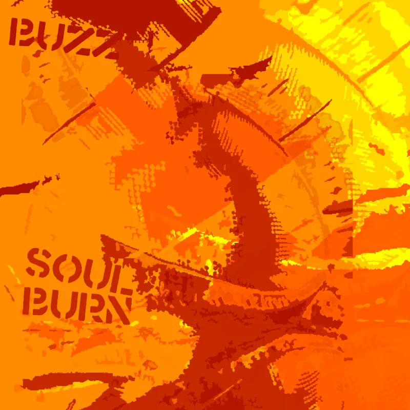 Cover of Soulburn by Buzz